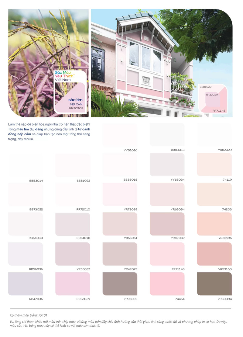 Nhóm màu trung tính an toàn, hiện đại