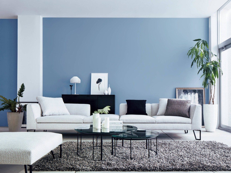 Màu sơn xanh xám mang lại vẻ đẹp tối giản và đẳng cấp cho không gian Màu sơn xanh xám mang lại vẻ đẹp tối giản và đẳng cấp cho không gian